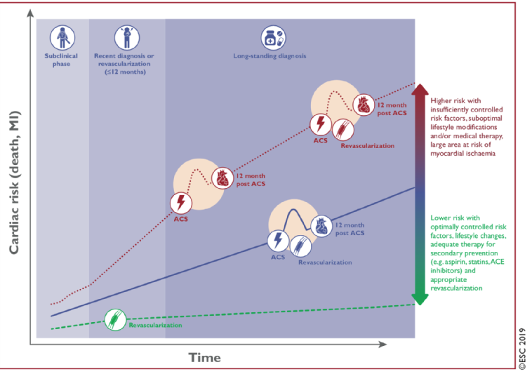 commentary-on-the-new-esc-guidelines-on-chronic-coronary-syndromes